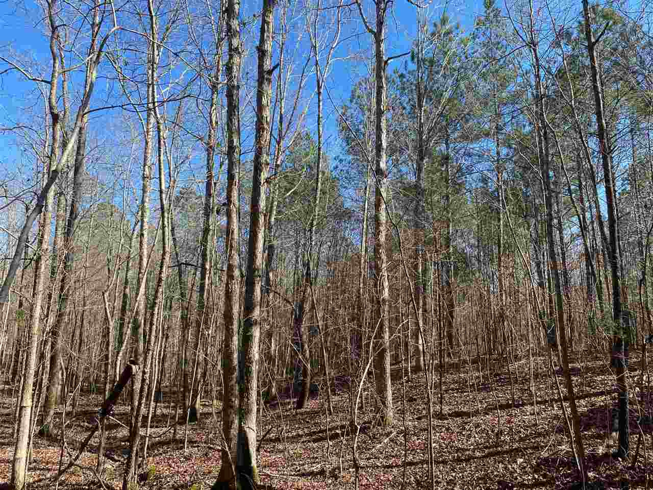 0 Johnson 2 Road Ackerman, MS 39735 - Photo 8 of 11 Photo 8