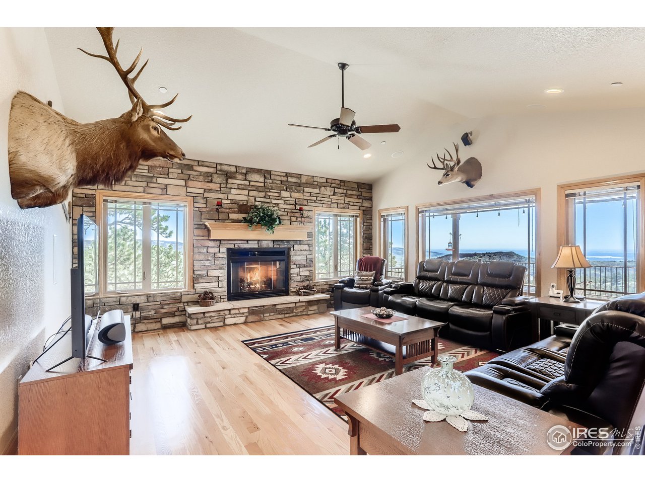 315 Sandstone Drive Lyons, CO 80540 - Photo 7 of 39