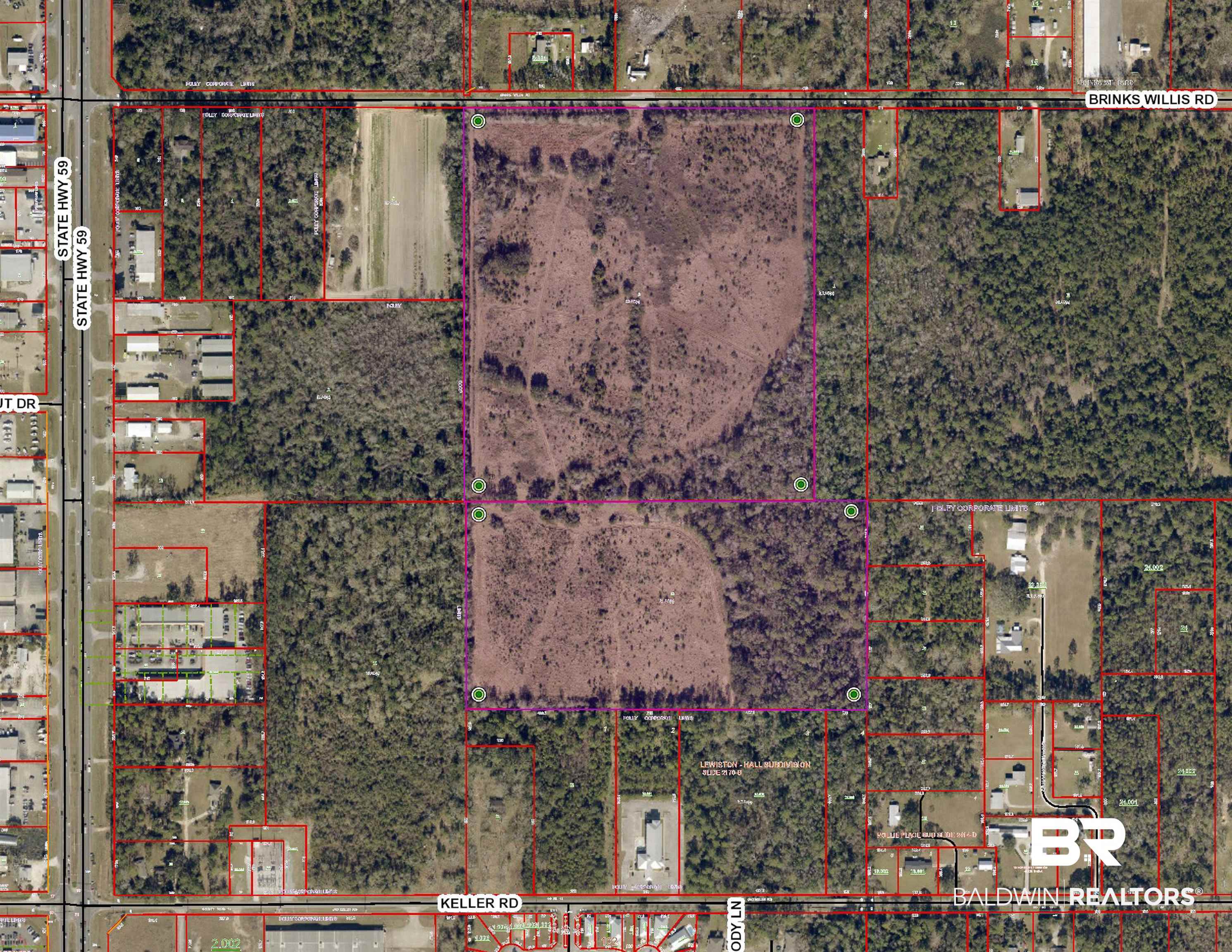 20316 Brinks Willis Road Foley, AL 36535 - Photo 3 of 3