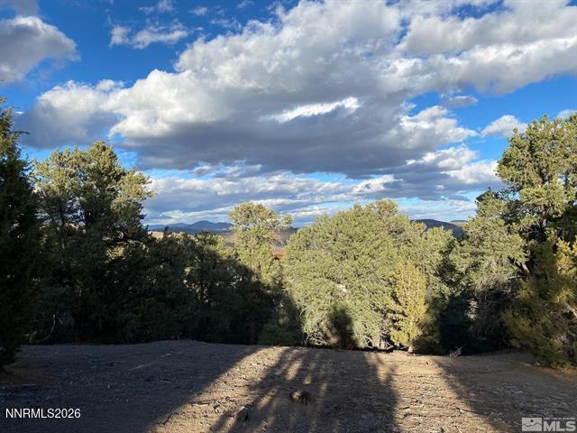 21650 Palamino Road Reno, NV 89521 - Photo 2 of 3 3