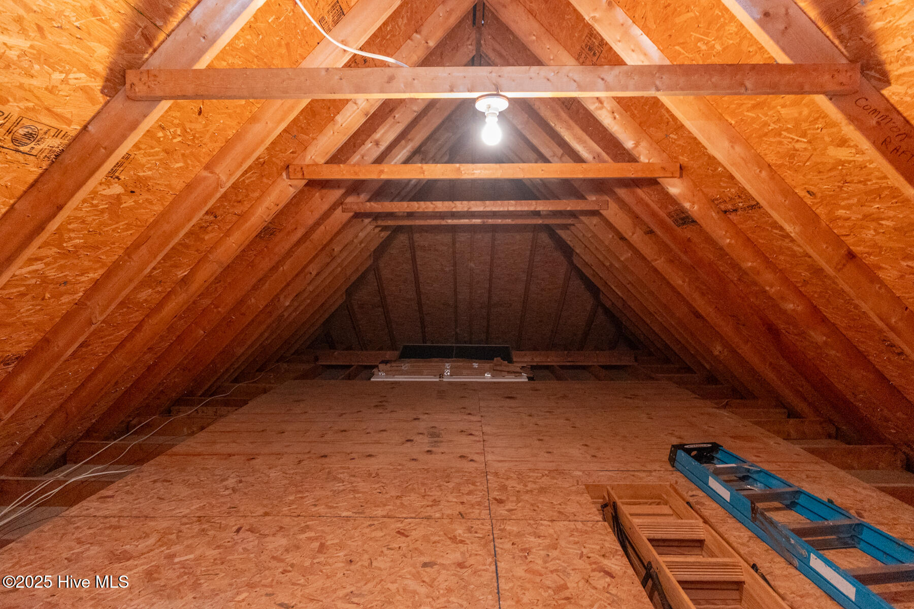 29 Edinburgh Lane Pinehurst, NC 28374 - Photo 26 of 37 walk-in attic storage