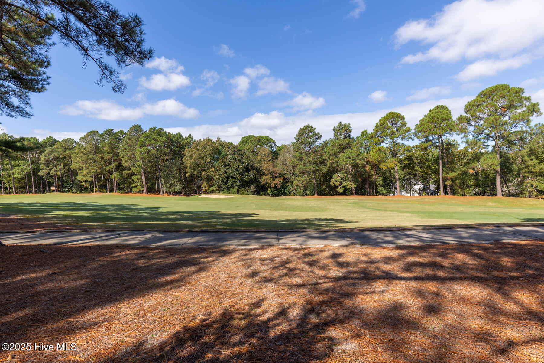 29 Edinburgh Lane Pinehurst, NC 28374 - Photo 29 of 37 back golf view