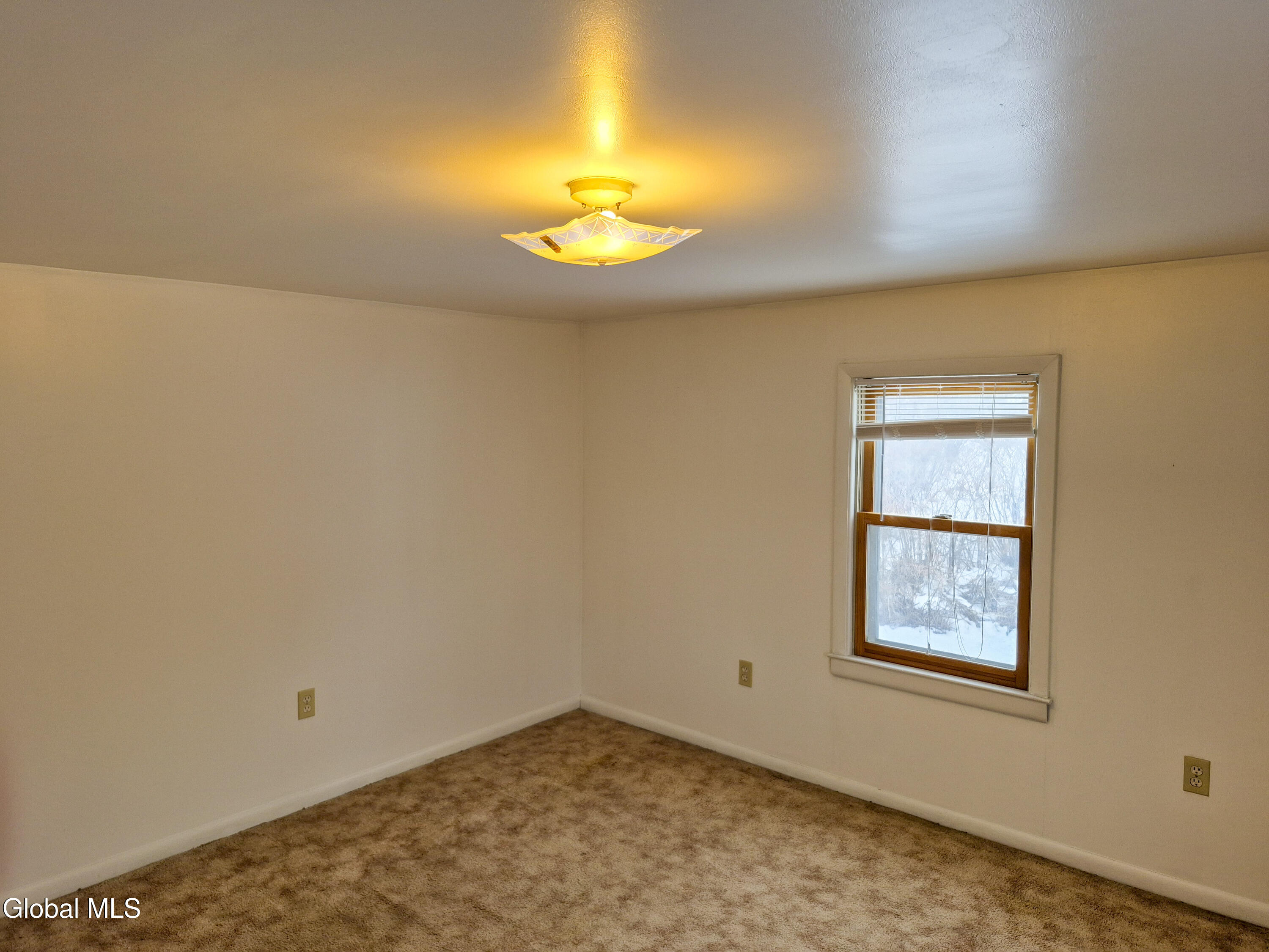 160 Old Plant Road Halfmoon, NY 12065 - Photo 12 of 13 160 old plant-15