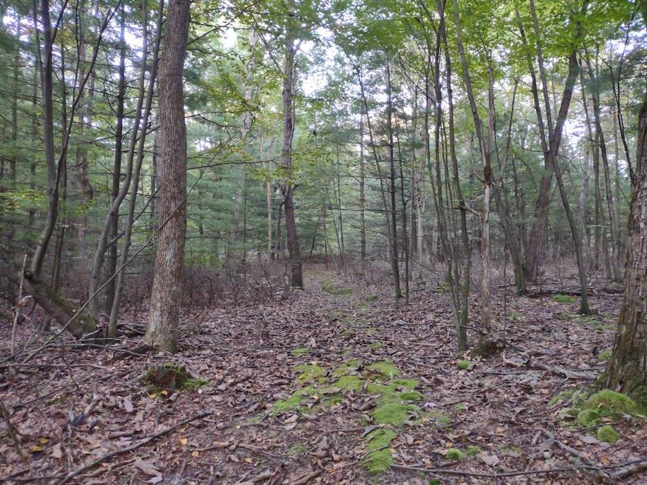 6647 Rockytop Road Alexandria, PA 16611 - Photo 20 of 21 Gallery Image 20