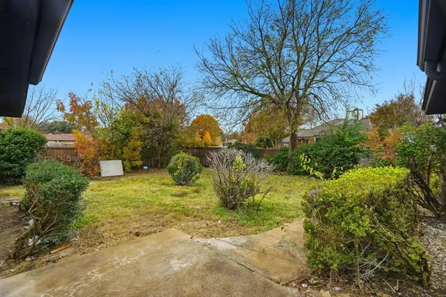 a view of a yard with plants and large trees