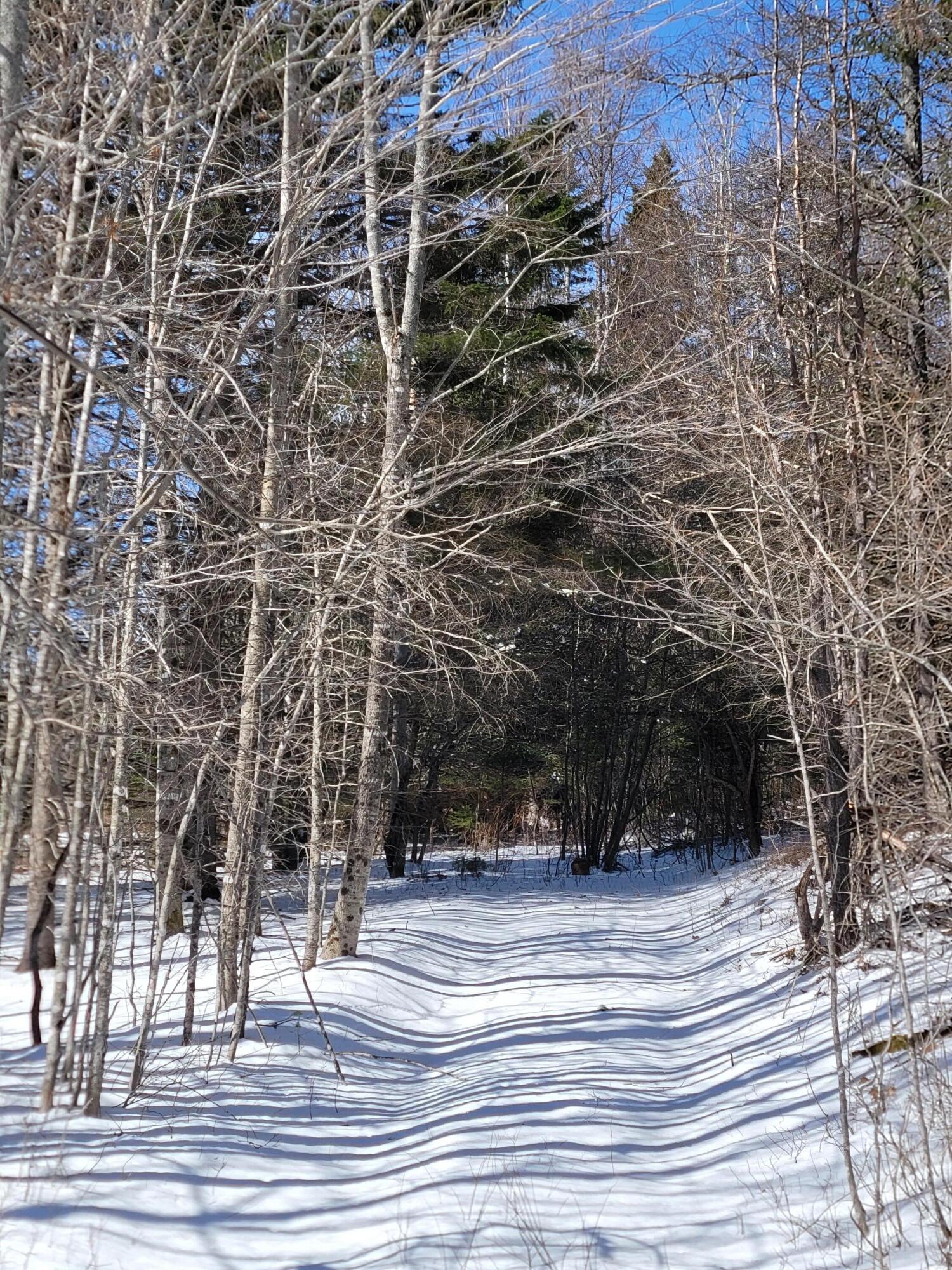 Lot 37 Quimby Pond Road Rangeley, ME 04970 - Photo 9 of 22 driveway