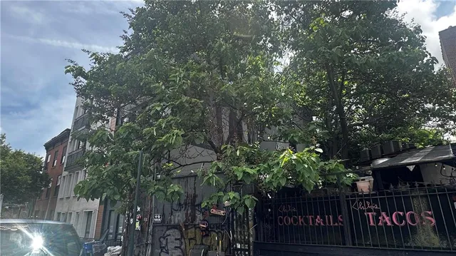 a street view with wooden fence and trees
