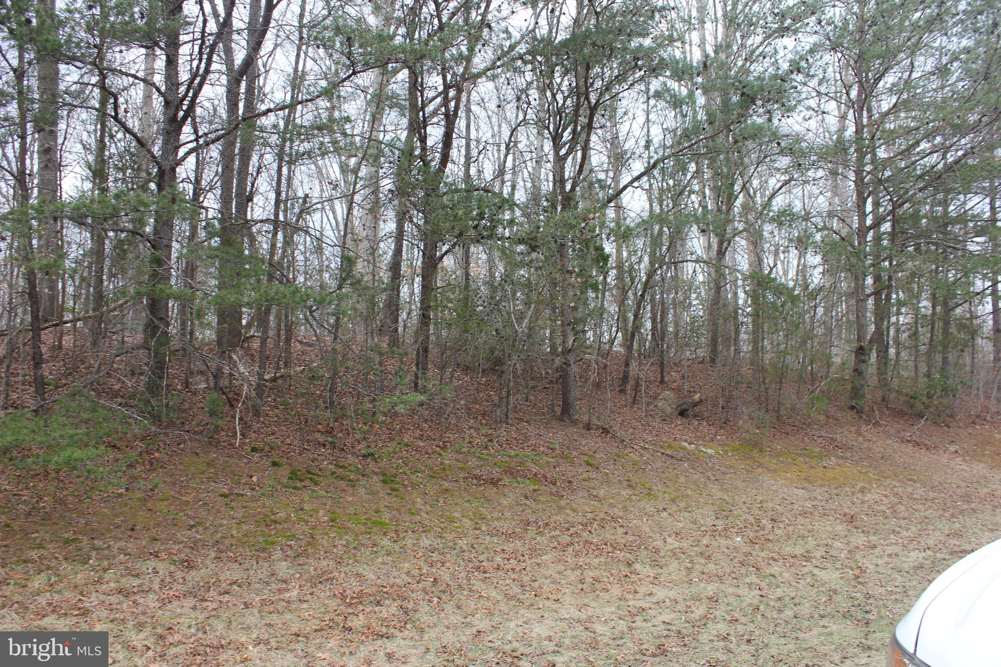 25815 Three Notch Road Hollywood, MD 20636 - Photo 6 of 6 a view of a forest with trees in the background