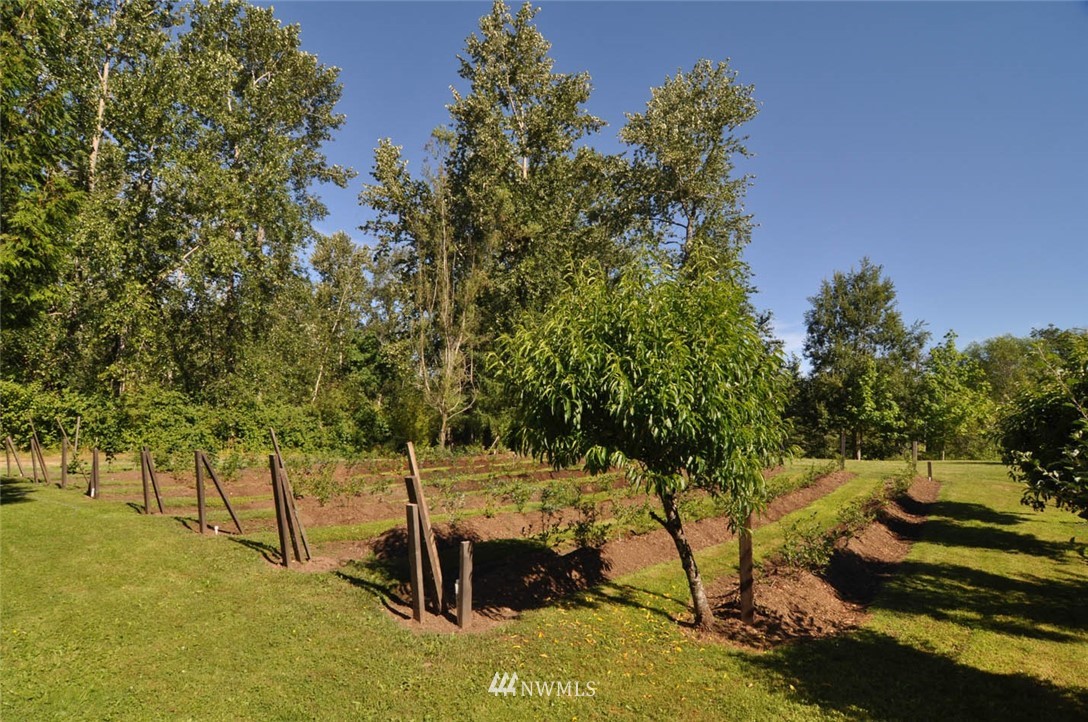 3474 Slater Road Ferndale, WA 98248 - Photo 17 of 25