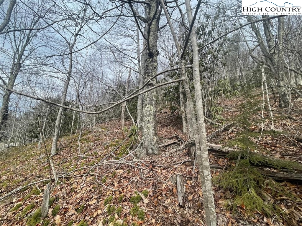 104 Deergrass Road Beech Mountain, NC 28604 - Photo 4 of 6 Gallery Image 4