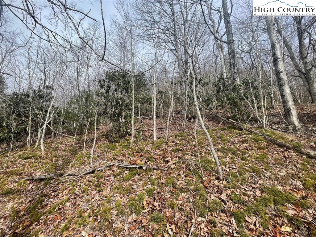 104 Deergrass Road Beech Mountain, NC 28604 - Photo 5 of 6 Gallery Image 5