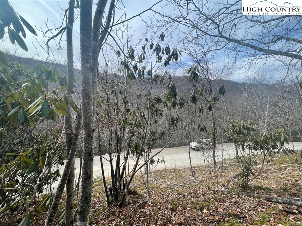 104 Deergrass Road Beech Mountain, NC 28604 - Photo 6 of 6 Gallery Image 6