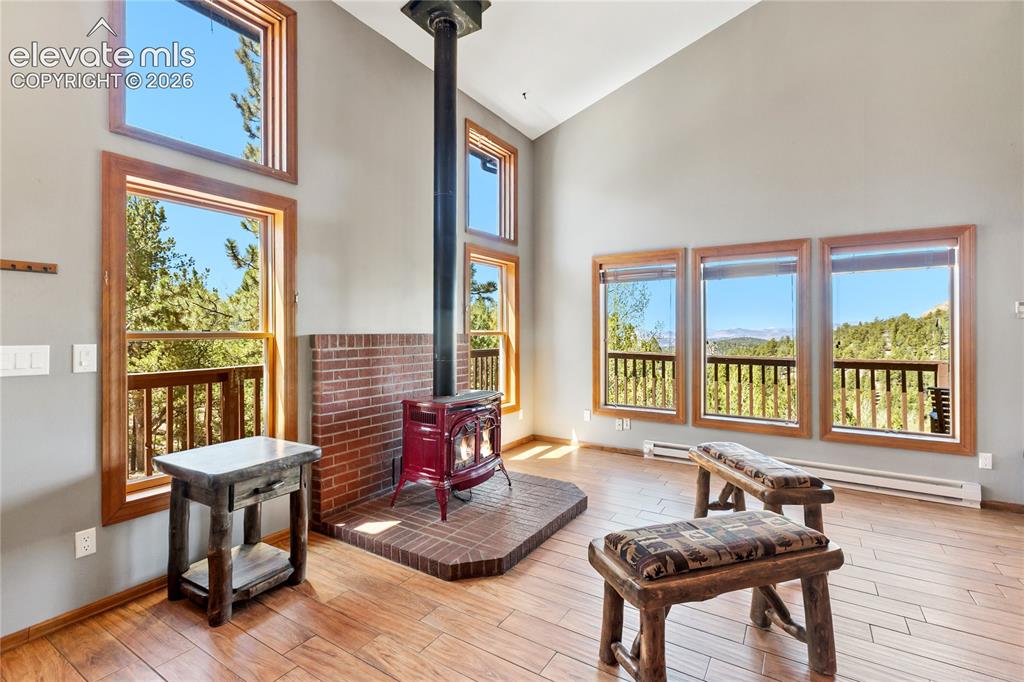 265 Homestead Road Divide, CO 80814 - Photo 10 of 50 Gallery Image 10
