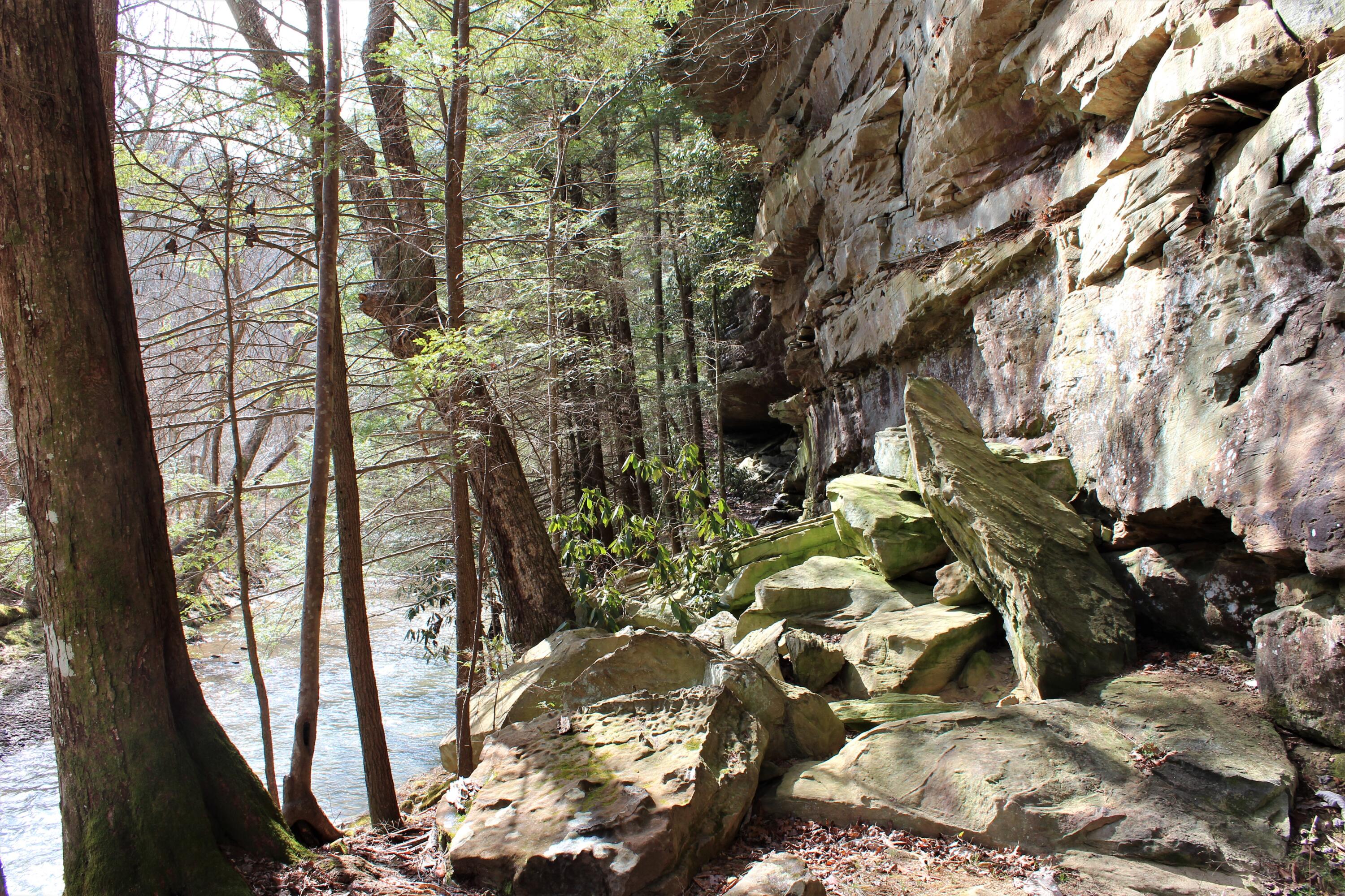 1245 North Shady Lane Road Campton, KY 41301 - Photo 13 of 96 014 the rock cliffs here are nothing shy