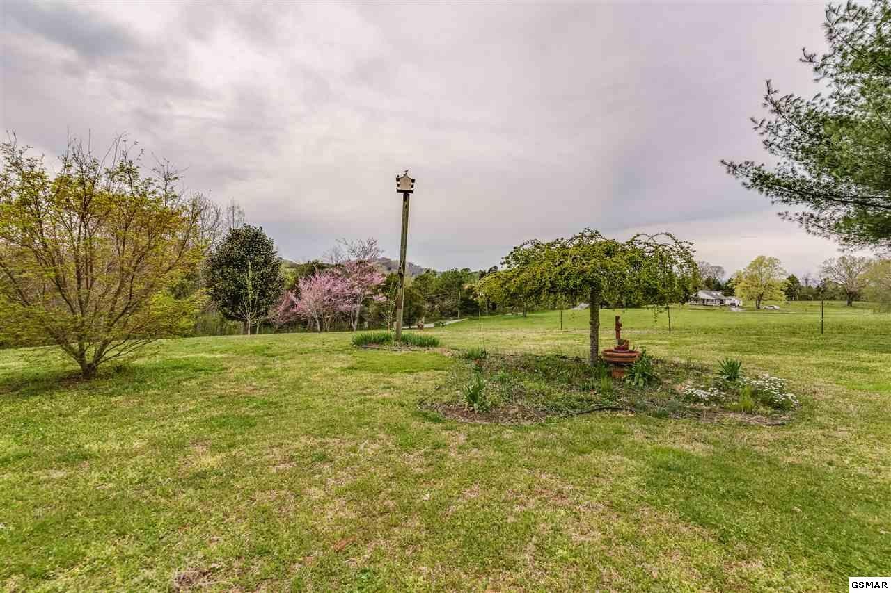 111 White Wing Road North Lenoir City, TN 37771 - Photo 16 of 18