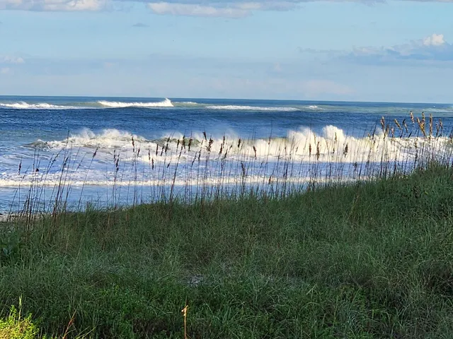a view of outdoor space yard and patio