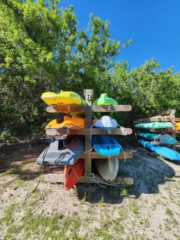 a view of a swimming pool with a garden and plants