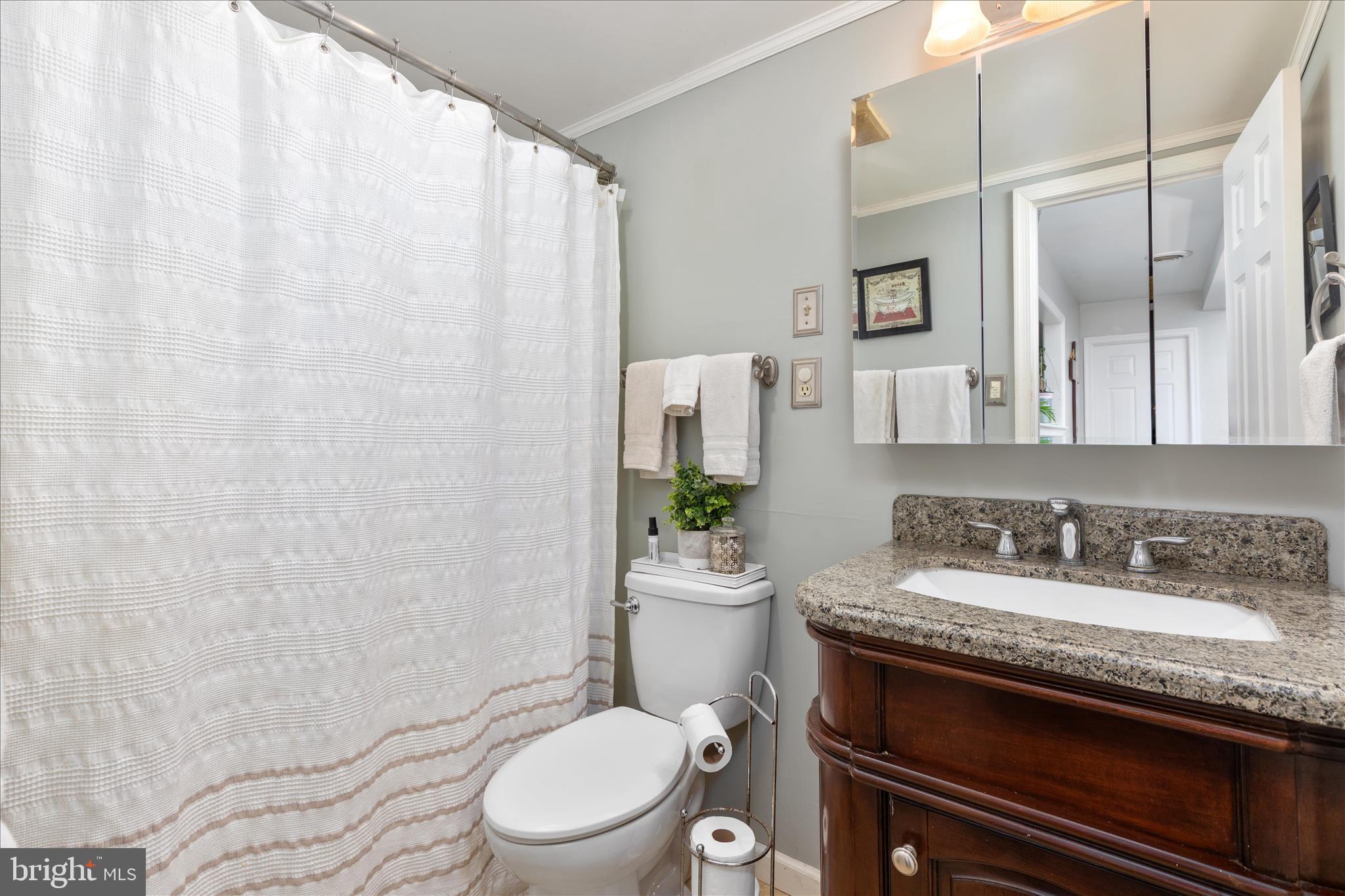 515 Old Fire Tower Road Capon Bridge, WV 26711 - Photo 56 of 117 Second Floor Hallway Full Bathroom