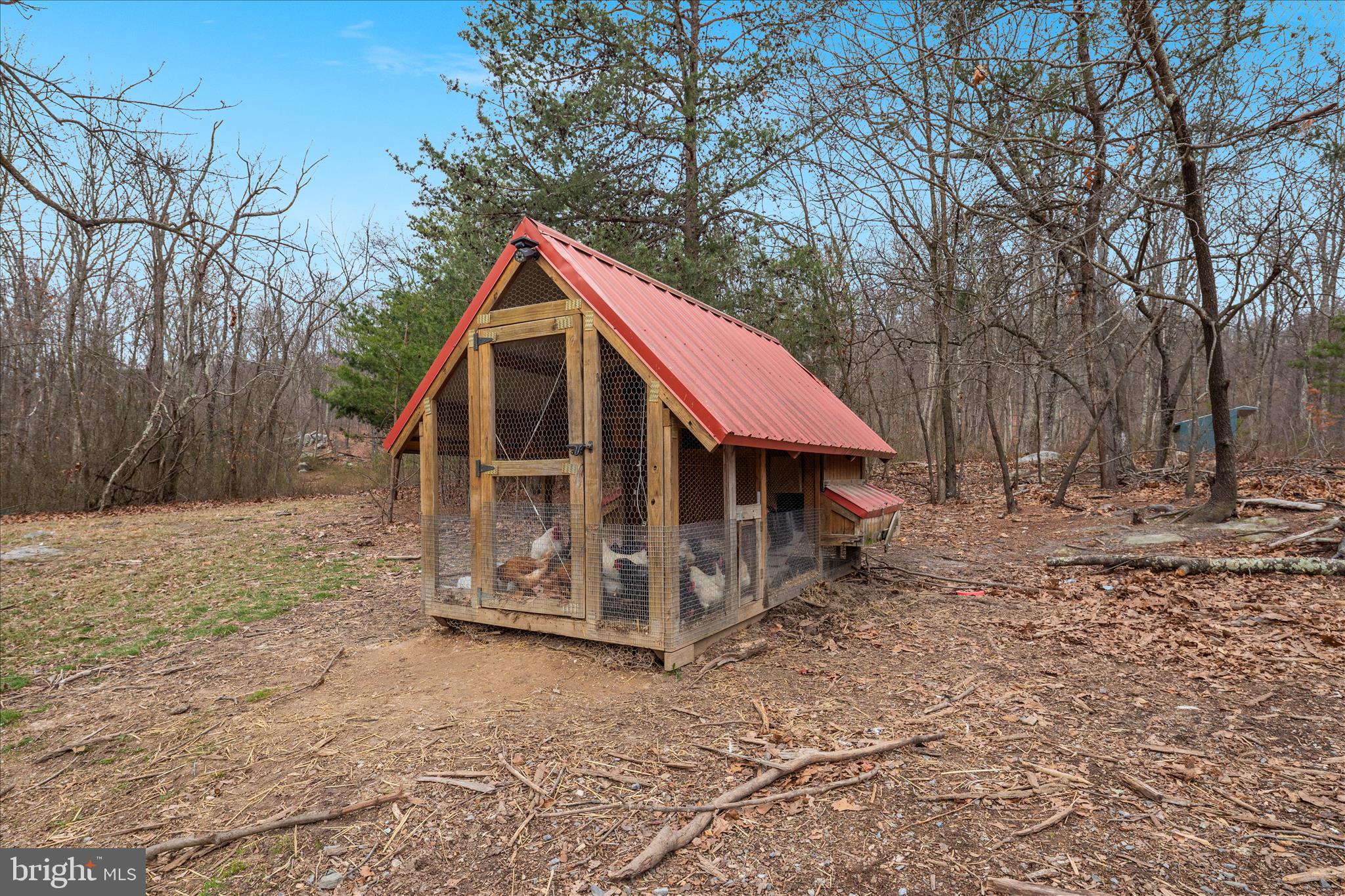 515 Old Fire Tower Road Capon Bridge, WV 26711 - Photo 97 of 117 Chicken Coop