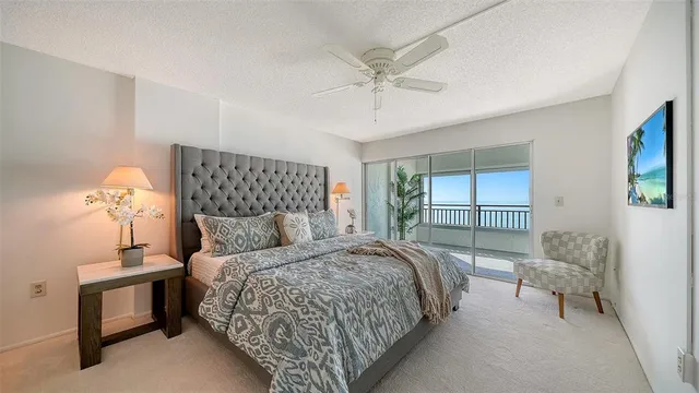 a view of a dry yard with a tree