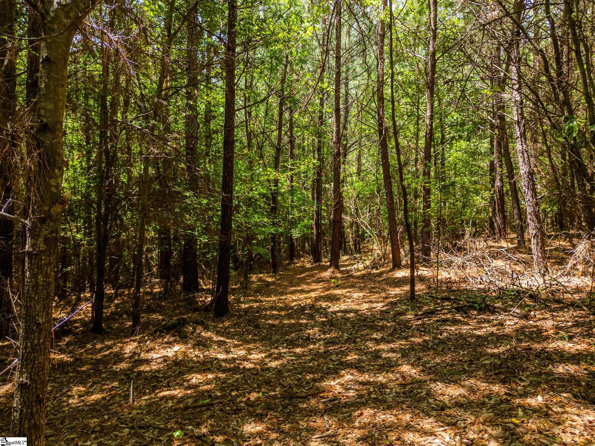New Circle Road Travelers Rest, SC 29690 - Photo 11 of 17