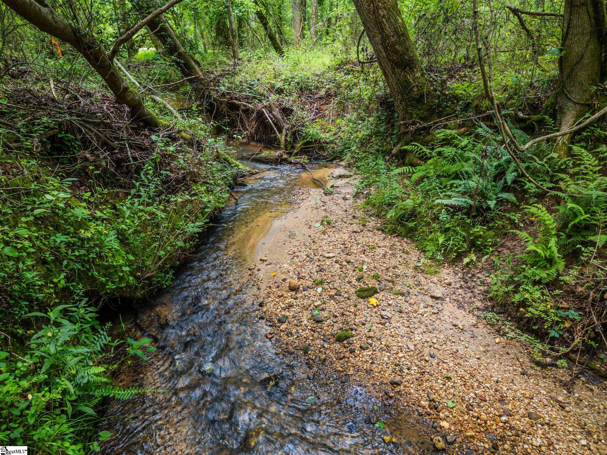 New Circle Road Travelers Rest, SC 29690 - Photo 12 of 17
