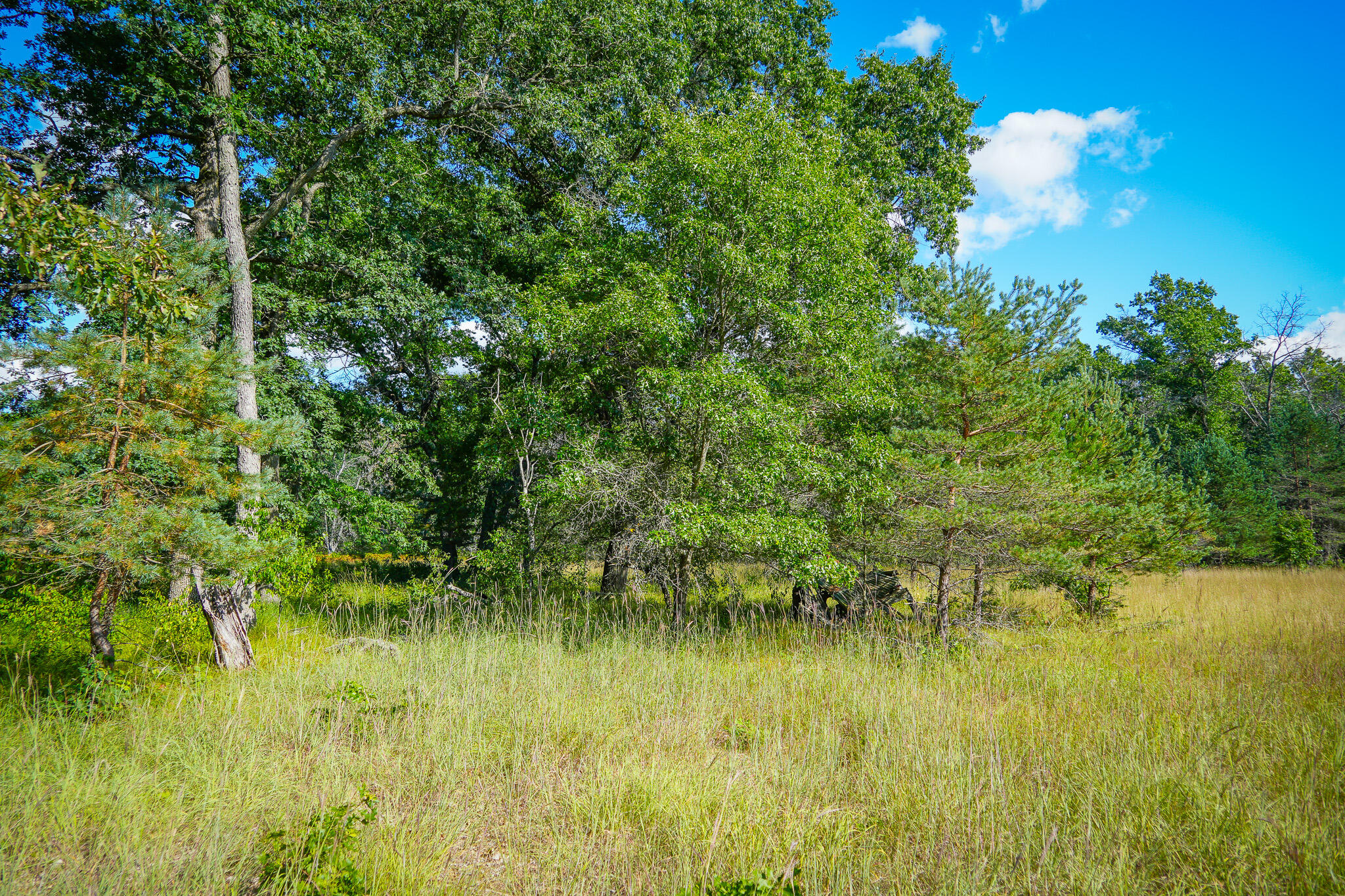 10 West Mile Road Irons, MI 49644 - Photo 14 of 42 DSC01403