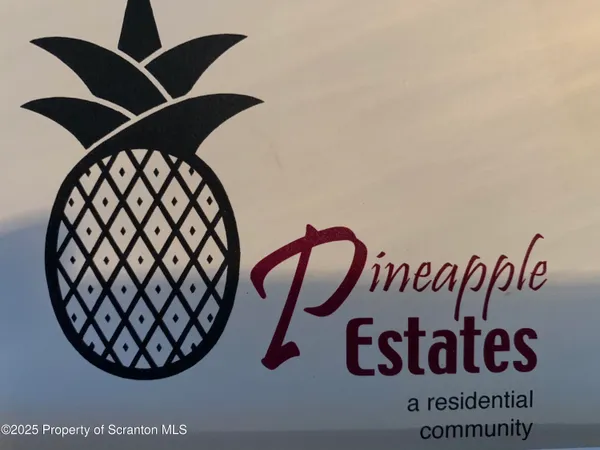 a close up of a plant