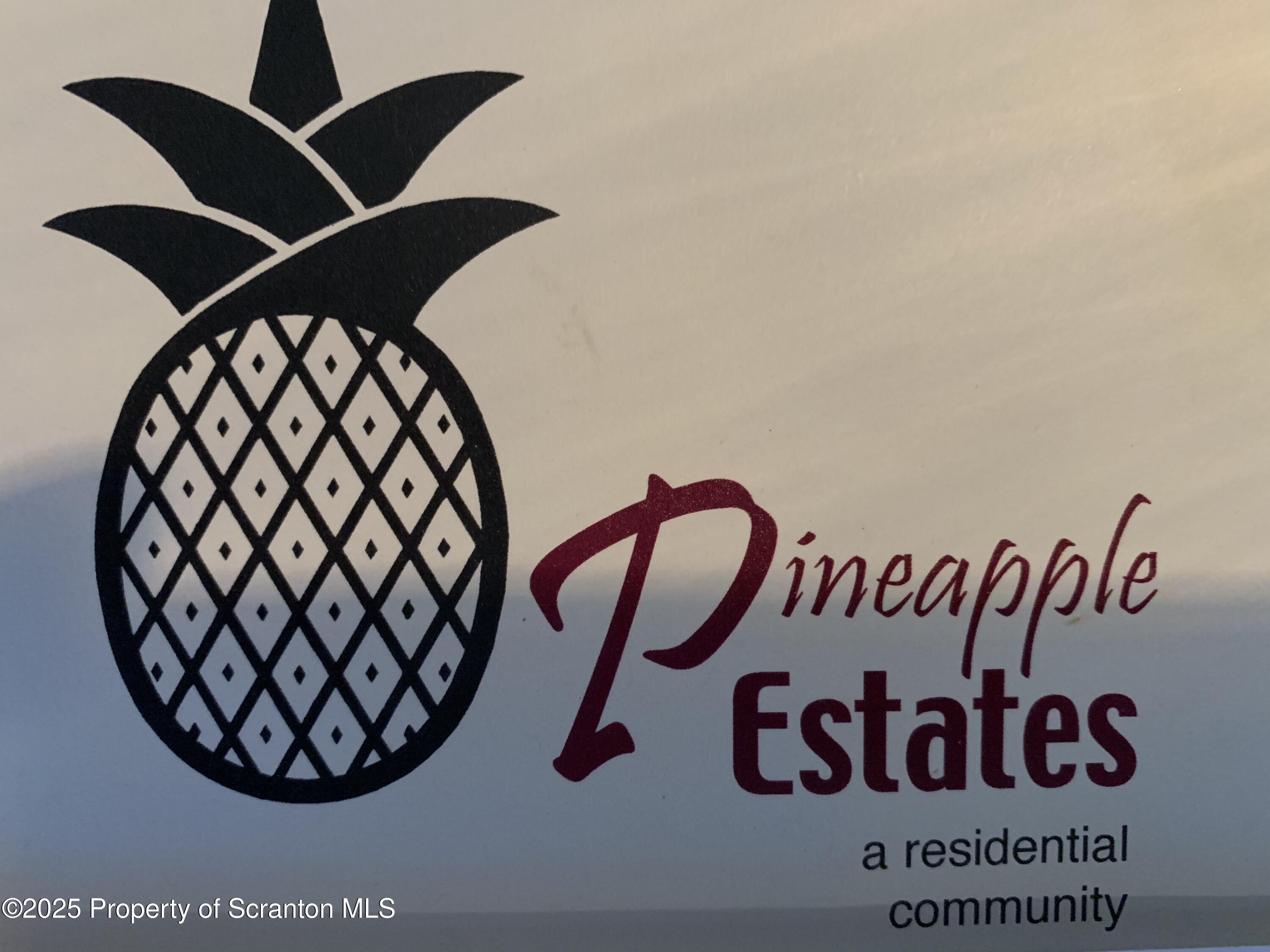 a close up of a plant