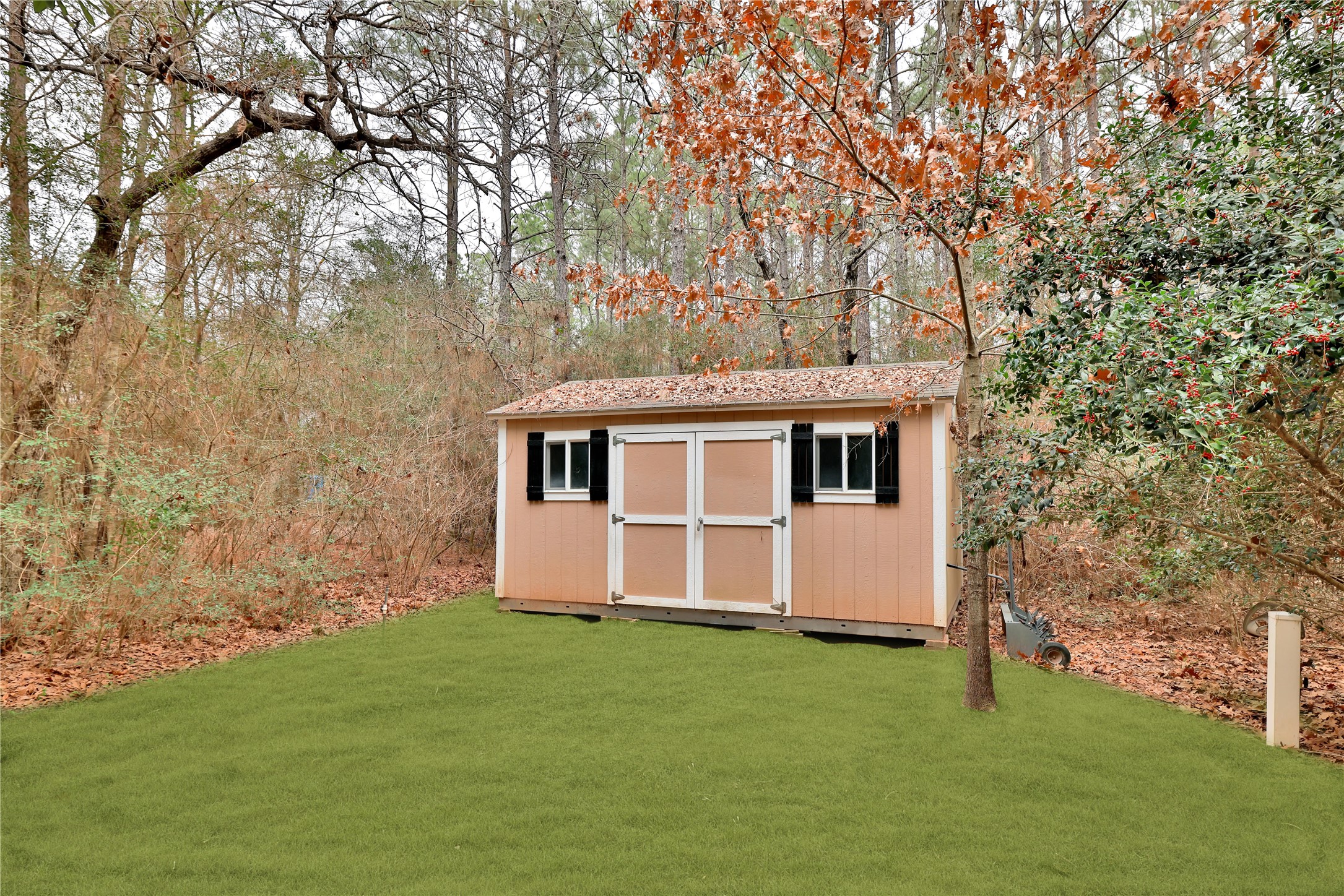 7514 Saddle Blanket Drive Waller, TX 77484 - Photo 46 of 50 Storage shed to store all your lawn and landscaping essentials.