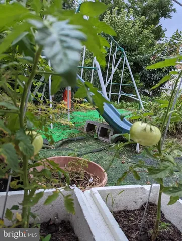 a view of outdoor space and yard