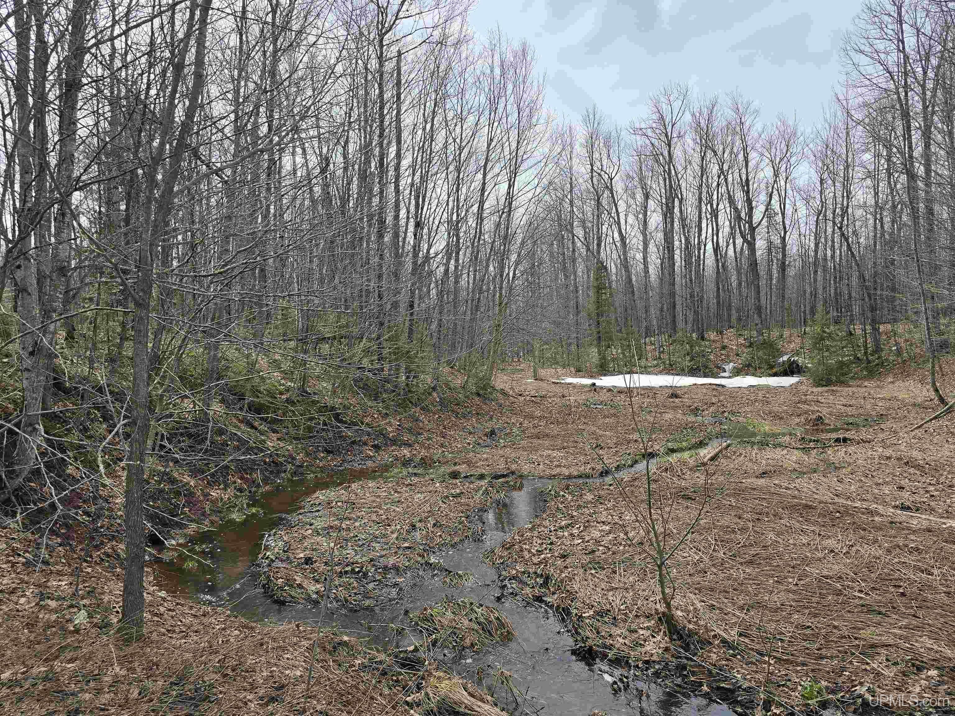Tbd Woodspur Road Ontonagon, MI 49953 - Photo 19 of 46