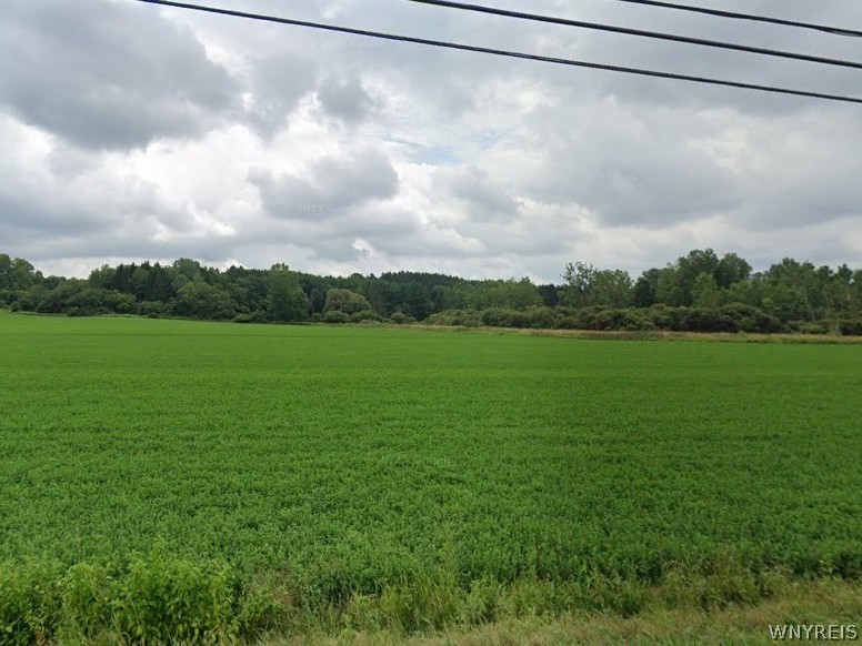 1390 Genesee Road Arcade, NY 14009 - Photo 2 of 5