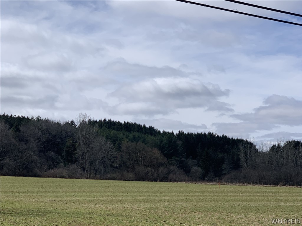 1390 Genesee Road Arcade, NY 14009 - Photo 3 of 5