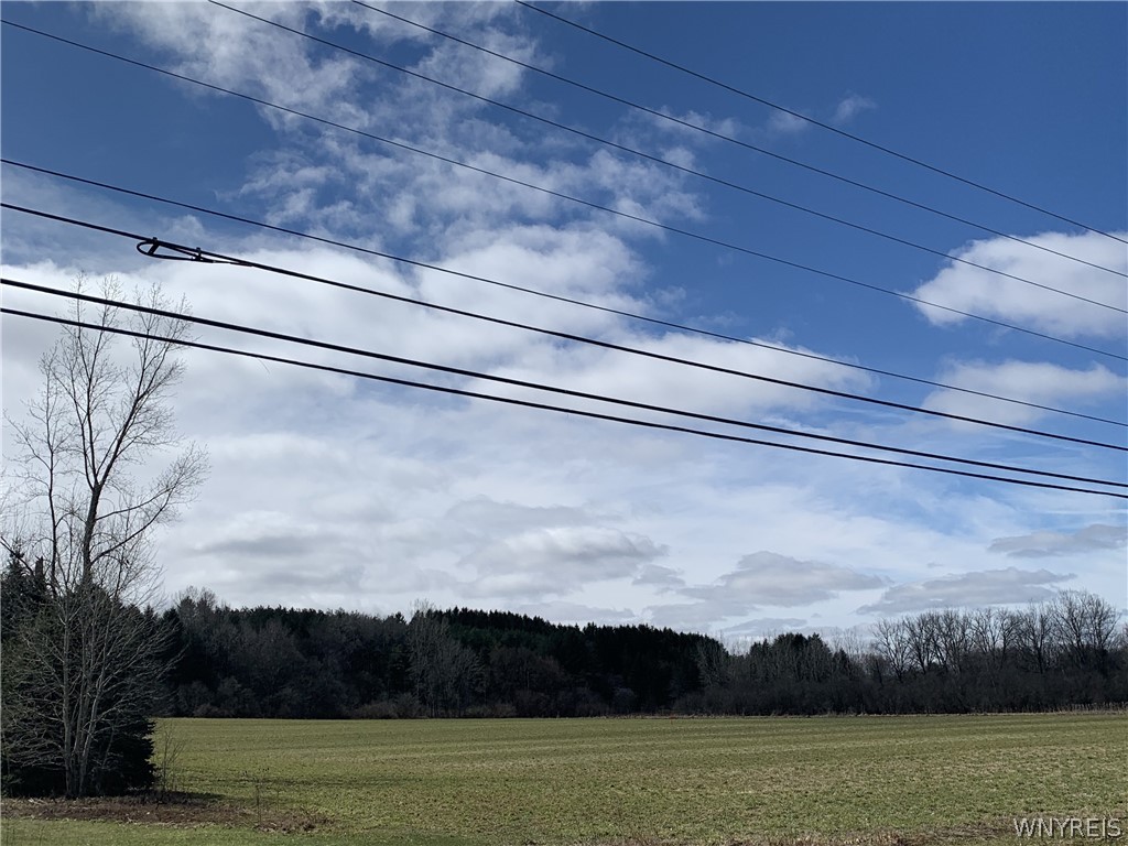 1390 Genesee Road Arcade, NY 14009 - Photo 4 of 5