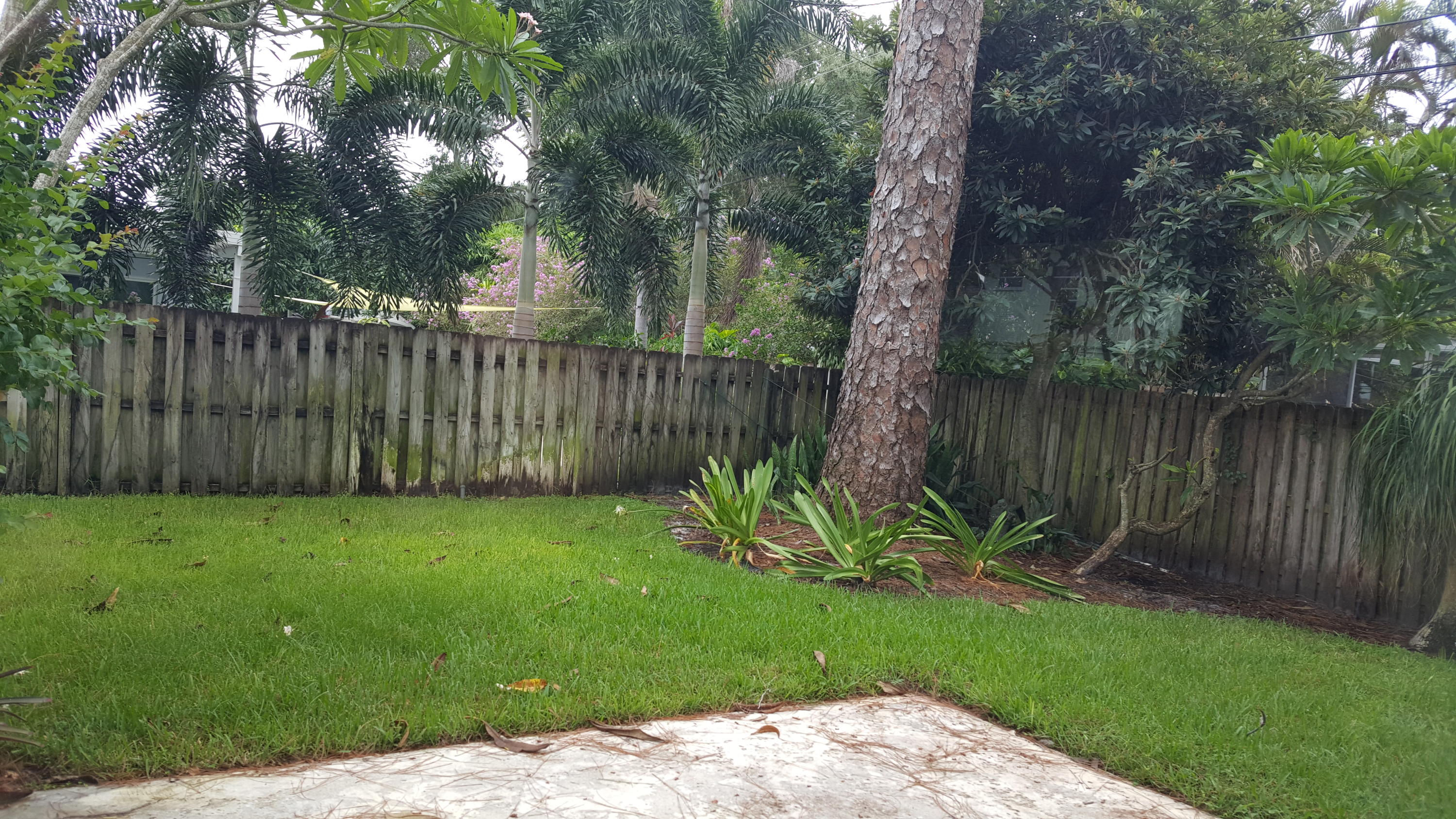 1132 Southwest 3rd Street Boca Raton, FL 33486 - Photo 39 of 43 20190823_162357