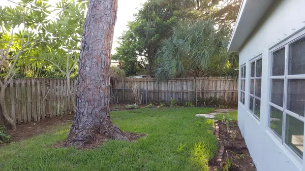 a view of a backyard with a trees and wooden fence