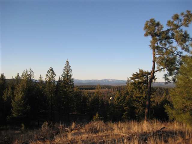 1 East Antler Road Chattaroy, WA 99003 - Photo 1 of 9 Gallery Image 1