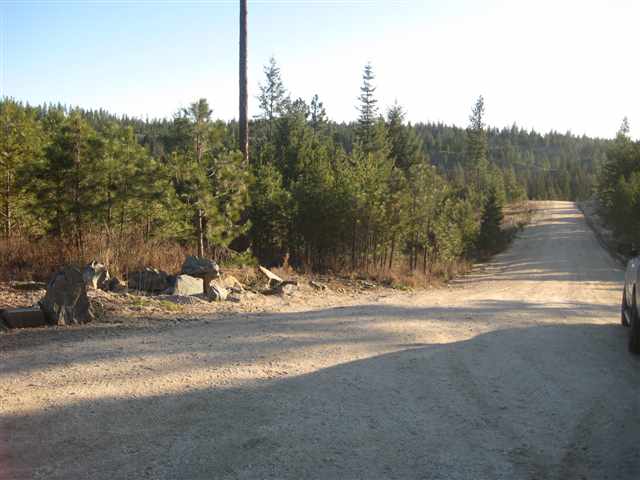 1 East Antler Road Chattaroy, WA 99003 - Photo 4 of 9 Gallery Image 4