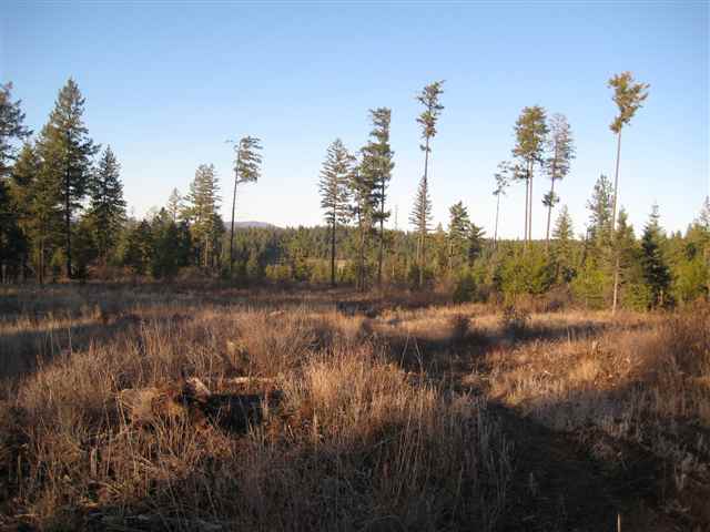 1 East Antler Road Chattaroy, WA 99003 - Photo 5 of 9 Gallery Image 5