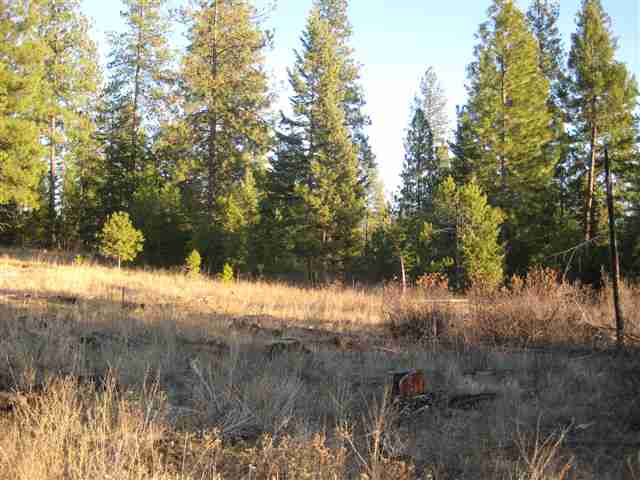1 East Antler Road Chattaroy, WA 99003 - Photo 7 of 9 Gallery Image 7