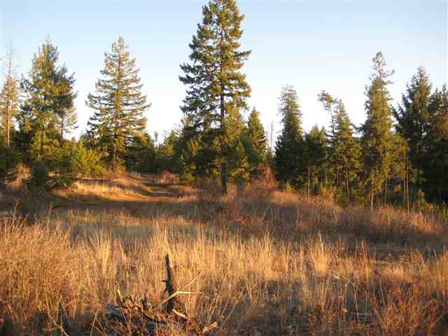 1 East Antler Road Chattaroy, WA 99003 - Photo 9 of 9 Gallery Image 9