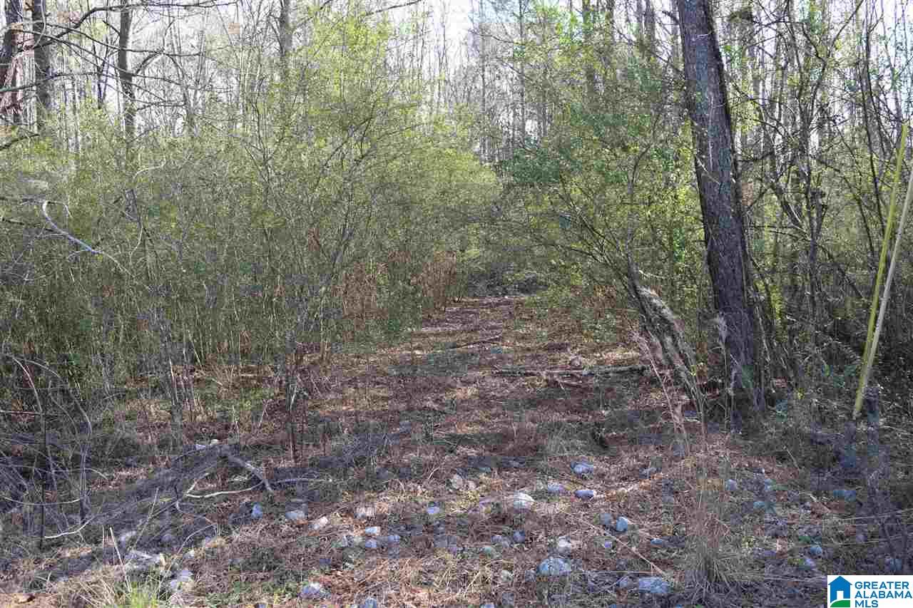 0 St Clair Road Moody, AL 35004 - Photo 2 of 6 Gallery Image 2