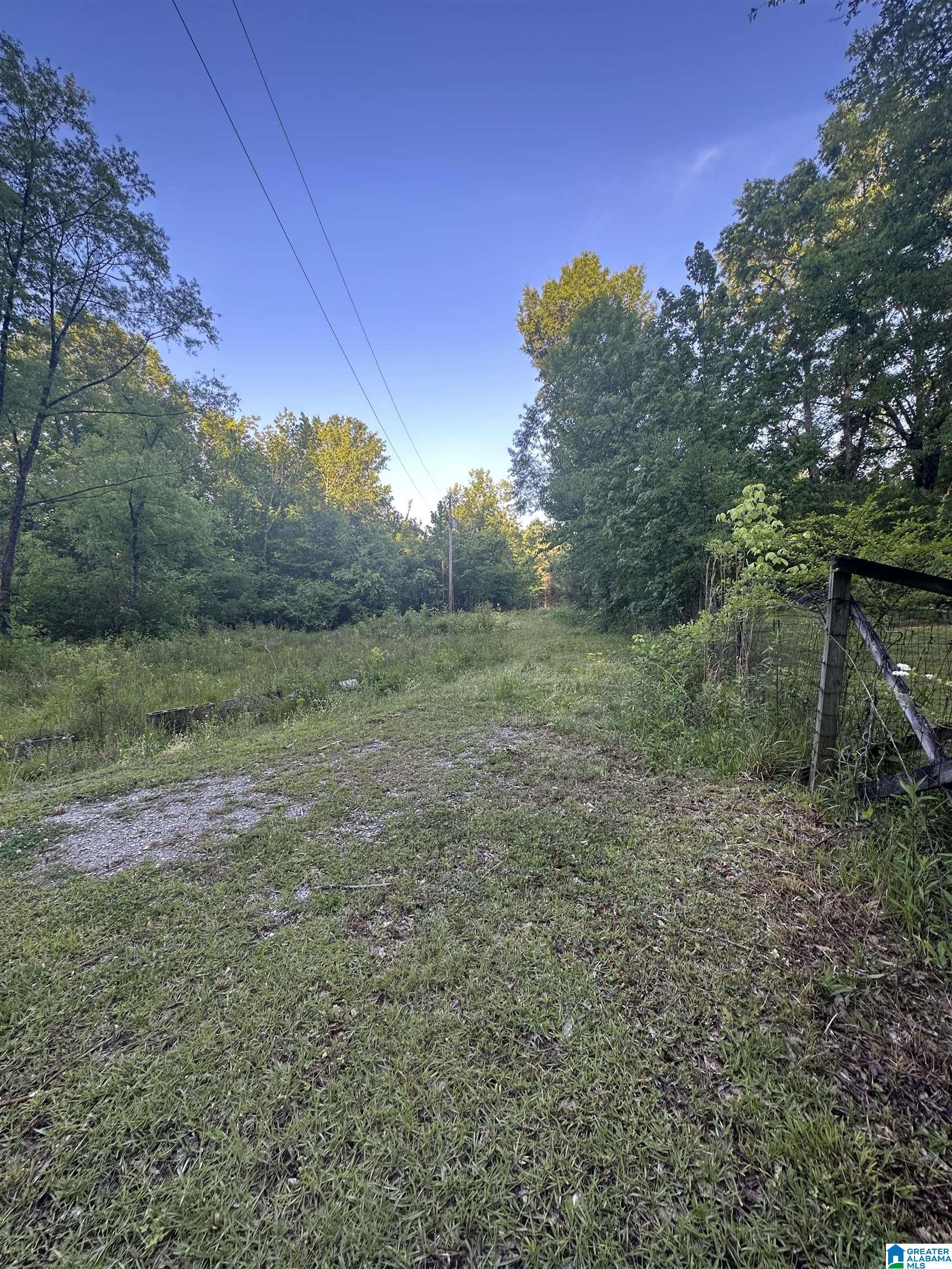 4175 Roy Road Bessemer, AL 35022 - Photo 8 of 12