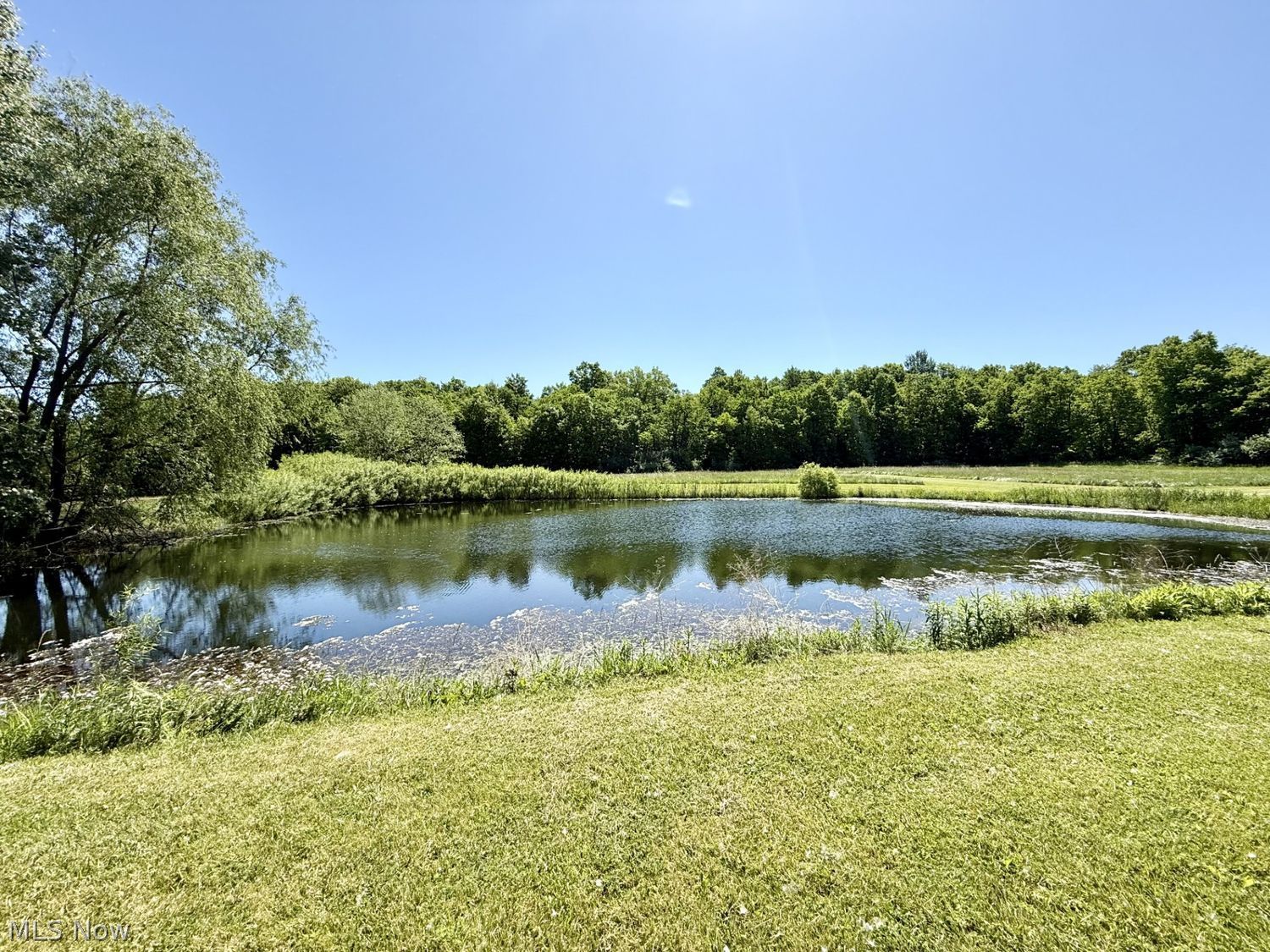 28509 Hawley Road Sullivan, OH 44880 - Photo 2 of 45 Pond
