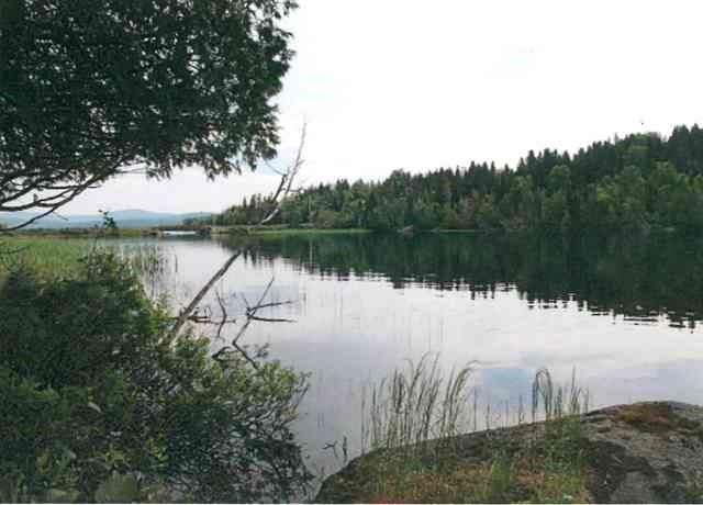 221 Mingo Loop Road Rangeley, ME 04970 - Photo 29 of 29 Photo