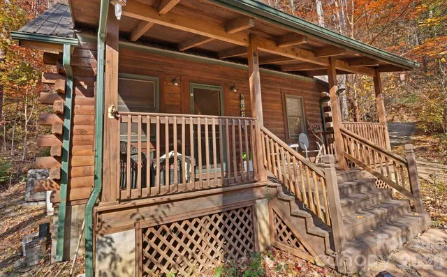 a view of a forest with lots of trees