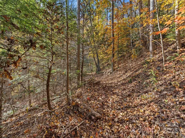 $425,000 | 65 Charleston Harbor Drive, Saluda, NC 28773