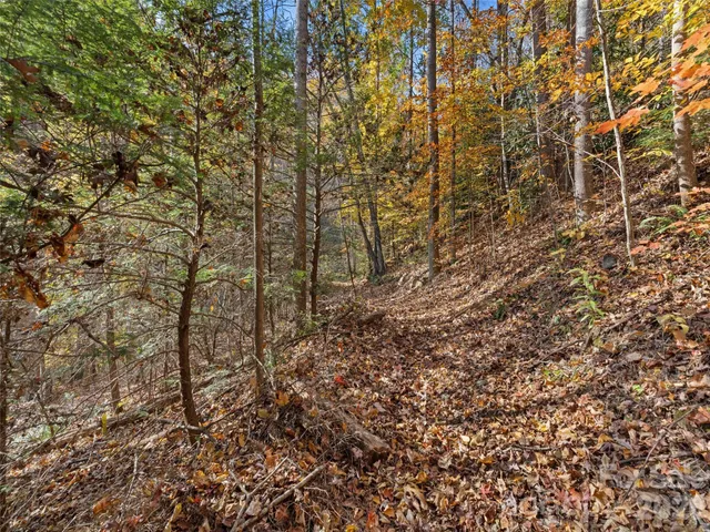 $425,000 | 65 Charleston Harbor Drive, Saluda, NC 28773