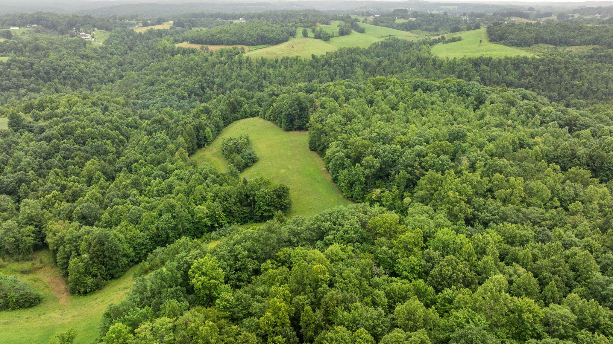 6-web-or-mls-DJI_20260709091245_0015_D